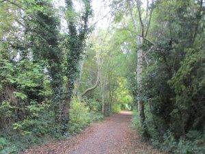 Wylam walking