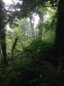 Mindfulness retreat